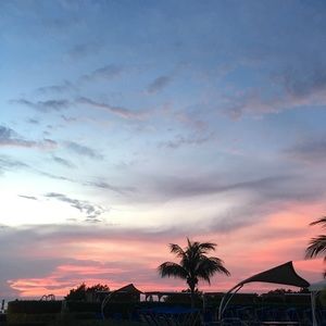 Meet your Posher, Lilly